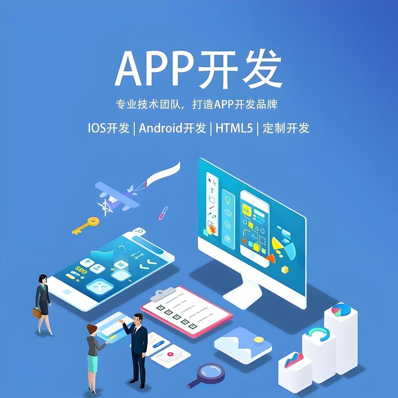软件定制开发:企业信息化的关键